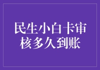 民生小白卡审核多久到账？超实用攻略来了！