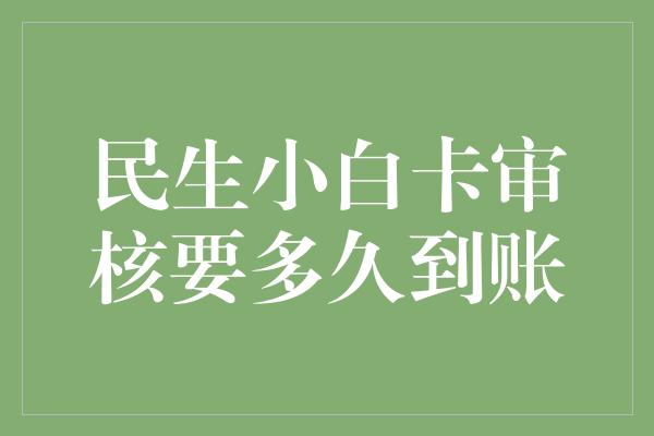 民生小白卡审核要多久到账