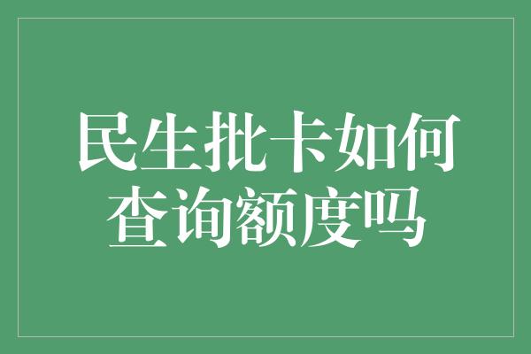 民生批卡如何查询额度吗