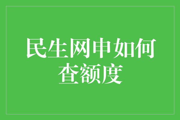 民生网申如何查额度