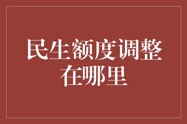 民生额度调整在哪里