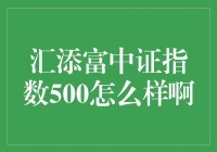 汇添富中证指数500基金的投资表现与市场定位分析