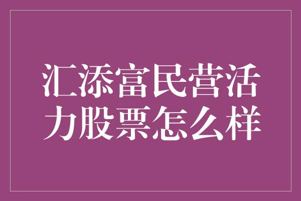 汇添富民营活力股票怎么样