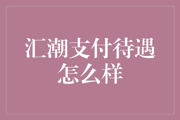 汇潮支付待遇怎么样