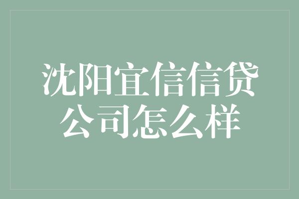 沈阳宜信信贷公司怎么样