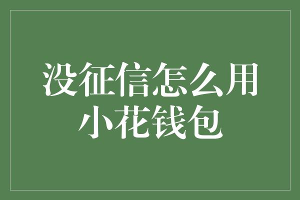 没征信怎么用小花钱包