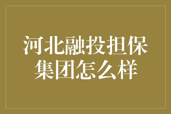 河北融投担保集团怎么样