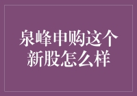 泉峰控股申购新股分析：前景可观，风险可控