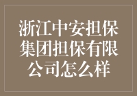 浙江中安担保集团担保有限公司：专业化金融服务引领行业新标杆