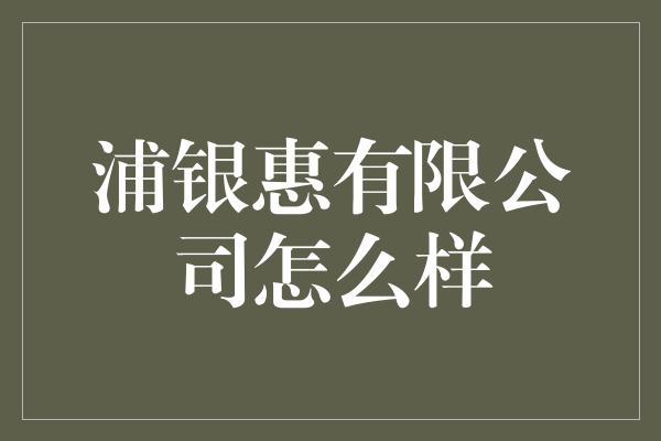 浦银惠有限公司怎么样