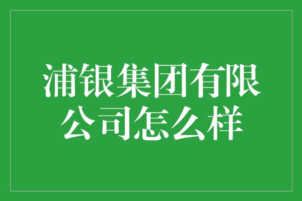 浦银集团有限公司怎么样