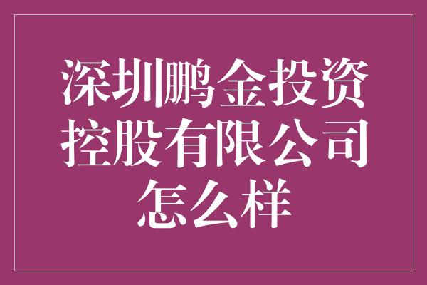 深圳鹏金投资控股有限公司怎么样