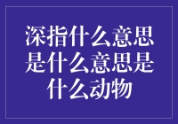 是什么动物？深指的谜题