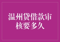 温州贷借款审核过程解析：速度与效率的双重考验