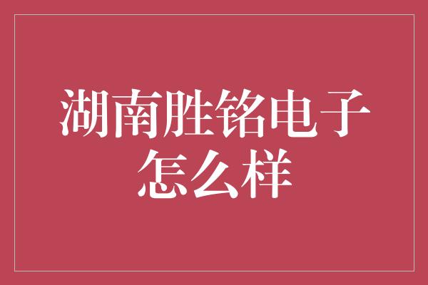 湖南胜铭电子怎么样