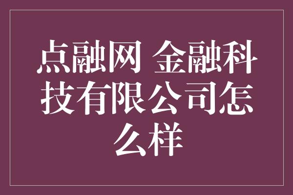 点融网 金融科技有限公司怎么样