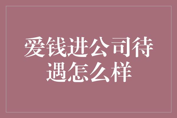 爱钱进公司待遇怎么样