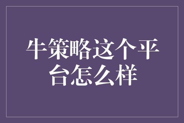 牛策略这个平台怎么样