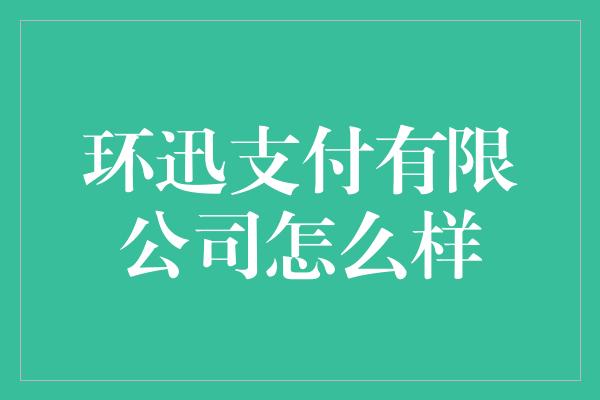 环迅支付有限公司怎么样