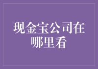 现金宝公司：数字化转型的先锋与未来趋势的引领者