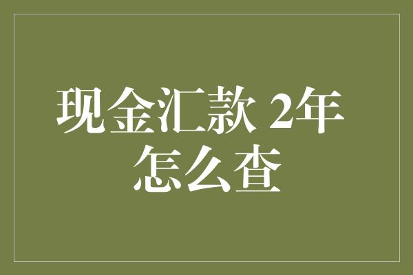 现金汇款 2年 怎么查