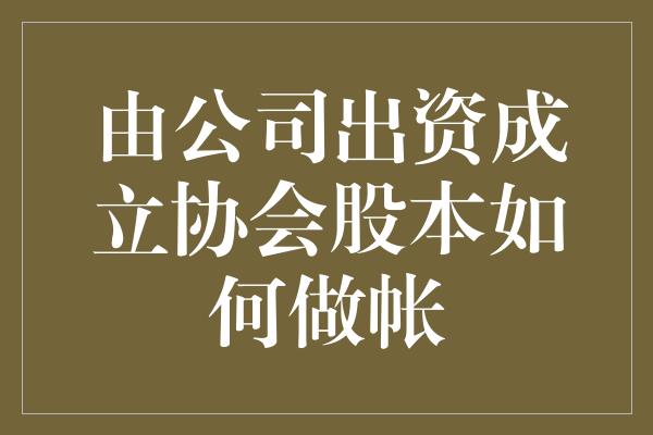 由公司出资成立协会股本如何做帐