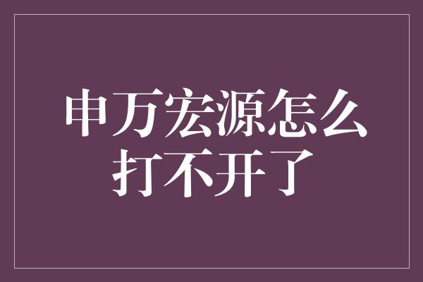 申万宏源怎么打不开了