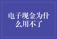 解析电子现金无法使用原因：技术、安全与操作因素综合考量