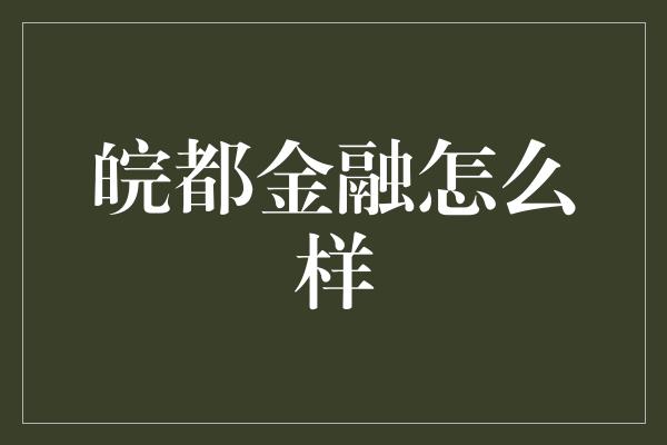 皖都金融怎么样