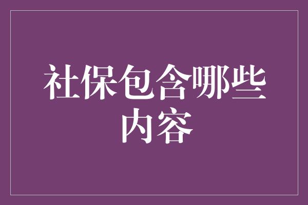 社保包含哪些内容