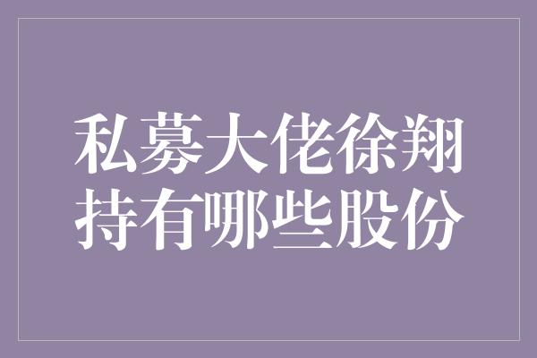 私募大佬徐翔持有哪些股份