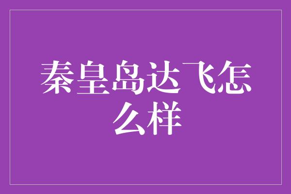 秦皇岛达飞怎么样