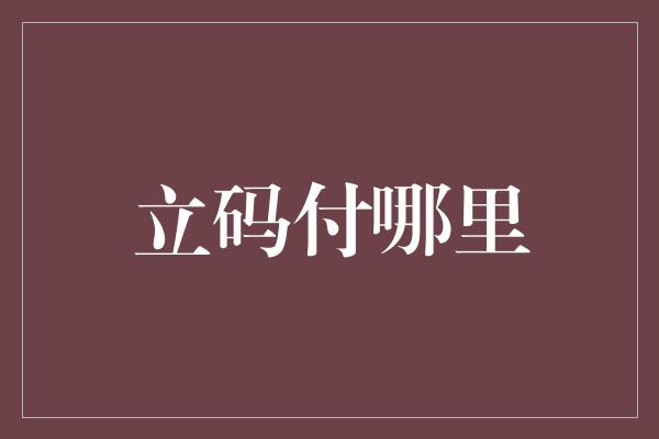 立码付哪里