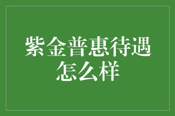 紫金普惠待遇怎么样