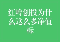 红岭创投为何众多的净值标？原来它们都在打把戏呀！