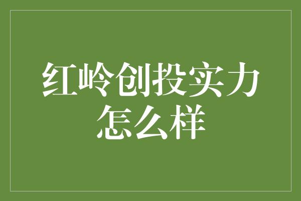 红岭创投实力怎么样