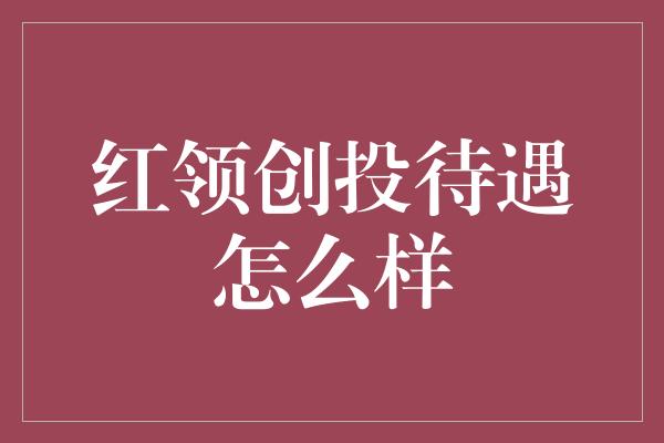 红领创投待遇怎么样