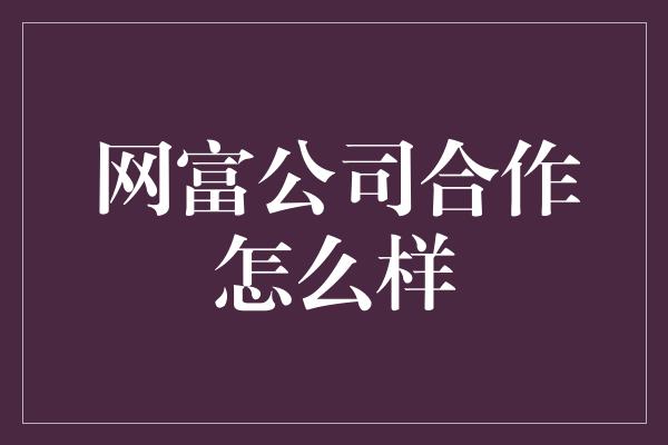 网富公司合作怎么样