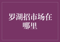 罗湖区市场招聘：寻找城市经济发展的新动力