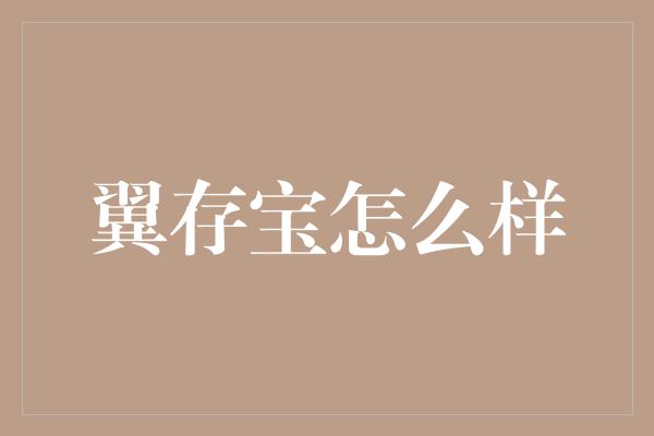 翼存宝怎么样