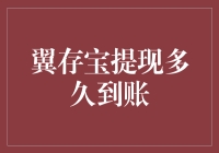 翼存宝提现到账时间解析：百家视角下的真相