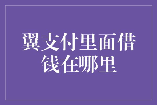 翼支付里面借钱在哪里