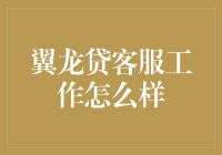 翼龙贷客服工作评析：专业与热情并重的借贷服务平台客服