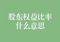 股东权益比是什么意思？新手的财务小技巧！