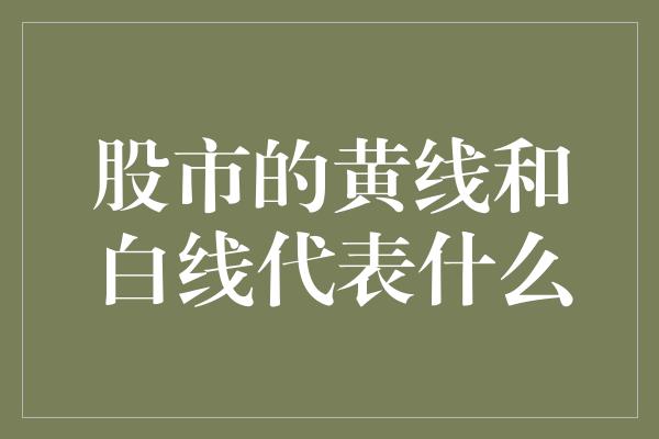 股市的黄线和白线代表什么