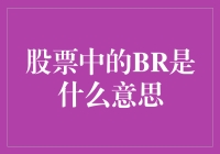 股票中的BR是什么意思：从基础解析到投资策略