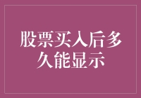 股票买入后多久能显示：一场寻找股票踪迹的奇妙冒险