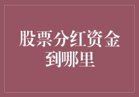 股票分红资金去向：解密分红资金的流向与利用