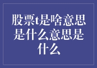 股票T到底是个啥？菜鸟级解读来袭！