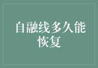 自融线的重生之路：从损毁到恢复的神奇之旅